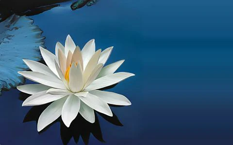 中秋节法会